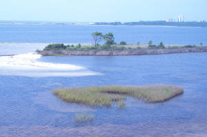dcp_1447.jpg